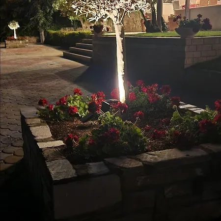 Palio PalaiónTsiflíkion